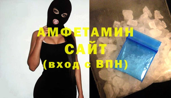 тгк Ельня