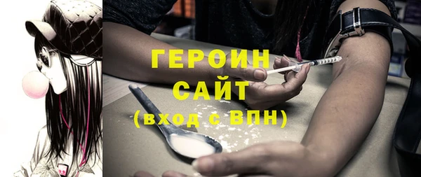 тгк Ельня