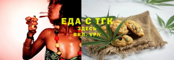 тгк Ельня