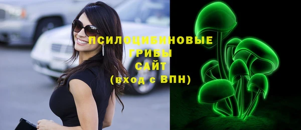 тгк Ельня