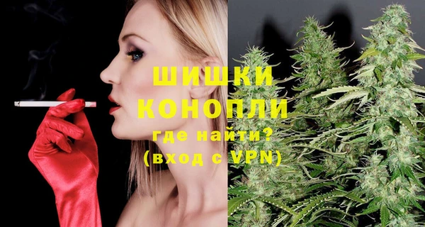 тгк Ельня