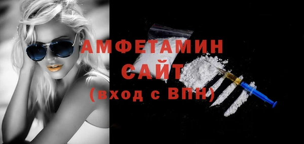 тгк Ельня