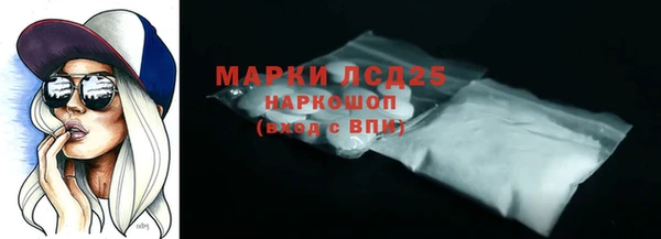 тгк Ельня