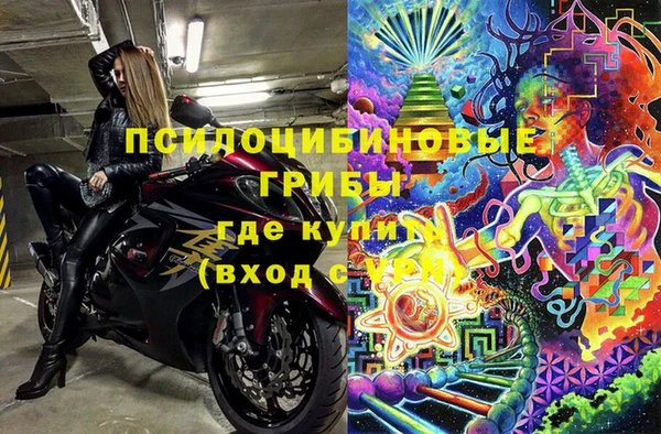 тгк Ельня
