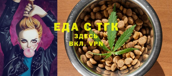 тгк Ельня