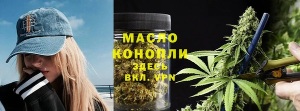 тгк Ельня