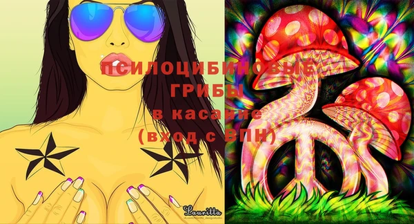 тгк Ельня