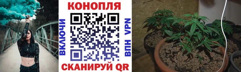 Бошки Шишки VHQ  Камень-на-Оби 
